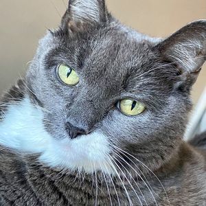 Meet your Posher, Terry